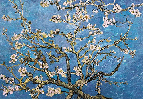 1art1 Vincent Van Gogh Blühende Mandelbaumzweige, 1890, 3-Teilig Fototapete Poster-Tapete 360x250 cm