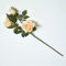 HOMESCAPES Mehrblütige künstliche Rose apricot 84 cm, langstielige Rosen künstlich