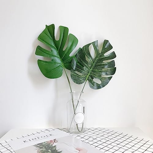 Generic Semillas de Monstera, 50 Unids/bolsa Semillas de Monstera Alta germinación Fácil de cultivar Semillas de Monstera Ceriman portátiles bien adaptadas para el patio trasero Semillas de Mons