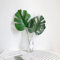 Generic Semillas de Monstera, 50 Unids/bolsa Semillas de Monstera Alta germinación Fácil de cultivar Semillas de Monstera Ceriman portátiles bien adaptadas para el patio trasero Semillas de Mons