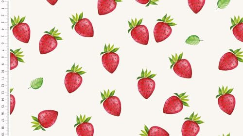 Jersey Stoff Elastisch Erdbeere Weiß Rot Grün Serie Obst 150 cm WB