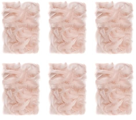 Netuno 900 Stück Deko Federn Hellbeige NUDE 60g Flaumfedern farbige Schmuckfedern Vogelfedern Bastelfedern Natur für DIY Basteln Dekoration Ostern Weihnachten Dekofigur