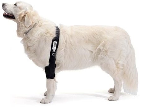 Ortocanis - Ellenbogenbandage für Hunde - Ellenbogenschoner für Bein - Bei Arthrose im Ellbogen - Hilft Schmerzen und Entzündungen zu reduzieren - Größe: M 16.1-20.5 cm
