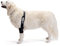 Ortocanis - Ellenbogenbandage für Hunde - Ellenbogenschoner für Bein - Bei Arthrose im Ellbogen - Hilft Schmerzen und Entzündungen zu reduzieren - Größe: M 16.1-20.5 cm