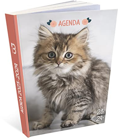 Bullout Kalender für Katzen, 12 x 17 cm