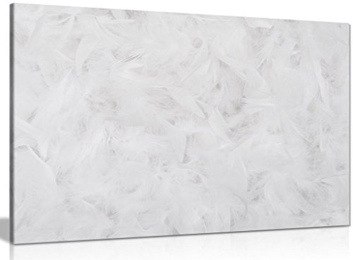 White Wall Art Abstract Feather Print Canvas Wall Art Picture Print (18x12in)