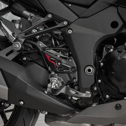 Resin Bike Autocollant Moto Compatibles avec Kawasaki Ninja 1000 SX 2024-2025 Rouge. Protection Seuils de Porte de Moto Contre Les Chocs et Les Rayures. Paire d'autocollants 3D Résinés Made in Italy