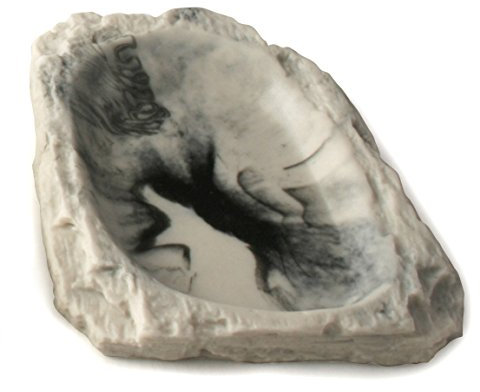 Lucky Reptile Turtle Dish, Farbe:Granit