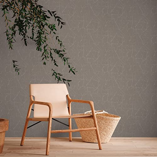 A.S. Création Tapete Natur Braun Weiß - A.S. Création Terra 385042 - Vliestapete Äste - 10,05 m x 0,53 m Made in Germany