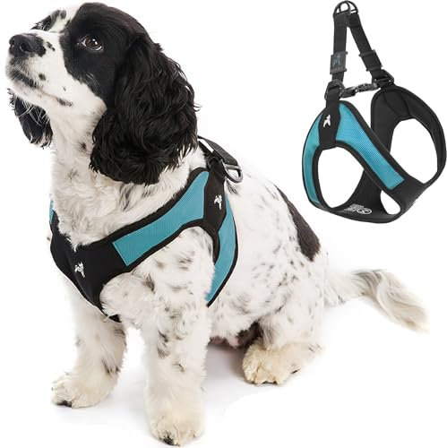 Gooby Escape Free Easy Fit Hundegschirr, kein Ziehen, patentiert, mit Schnellverschluss-Schnalle, Geschirr für unterwegs, für kleine oder mittelgroße Hunde, Türkis, Größe L