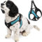 Gooby Escape Free Easy Fit Hundegschirr, kein Ziehen, patentiert, mit Schnellverschluss-Schnalle, Geschirr für unterwegs, für kleine oder mittelgroße Hunde, Türkis, Größe L
