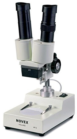 Lupe Binokular Euromex Novex Wassertester (20 x) Licht Vorfall