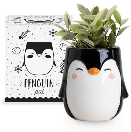 Apa la Papa, Keramik-Pflanzgefäß mit Pinguin-Tiermotiv für drinnen und draußen, 8,5 x 8,5 x 11 cm, niedlich, handbemalt, entworfen in Argentinien, praktisches Ablaufloch