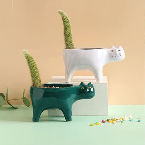 Xfeyaqlo Vasi Piccoli per Piante Grasse Gatti, Vaso per Piante Grasse Ceramica, Vasetti per Piantine Grasse Decorazione del Giardino di Casa o Dell'Ufficio, 2 Pezzi