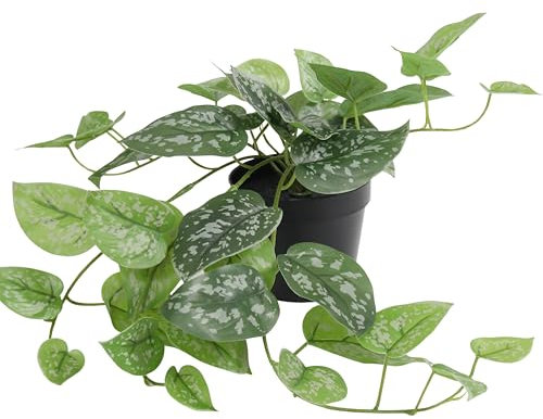 Blooming Artificial Faux Satin Pothos Plant, Fake Trailing Indoor Houseplant with Green Leaves in Black Pot