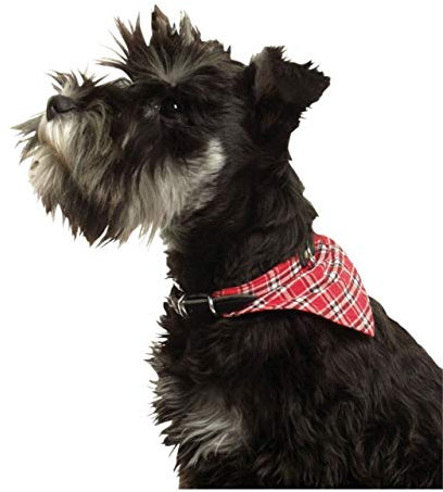 Karlie Rondo mit Halstuch, Hundehalsbänder, Leder, Stoff, Rot, 27 x 1 cm