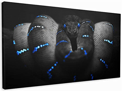 DIY 5D Diamantmalerei Sets für Erwachsene/Kinder,Voll Schwarze Schlange 30x60cm(12x24in) Diamant Painting Bilder Große Kristall Strass Stickerei Kreuzstich Mosaik Diamond Painting Arts Crafts Decor