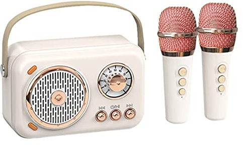 JNJOOD Mini Impianto Karaoke con Set Microfono, Altoparlante Bluetooth Vintage con Impianto Karaoke Domestico ()