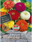 Zinnien dahlienblütige Mischung