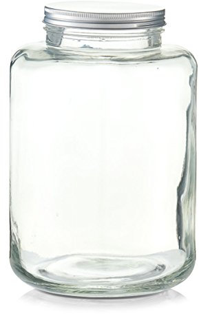 Zeller 19939 Vorratsglas, Glas/Metall, transparent, 0.1 x 20 x 29.5 cm