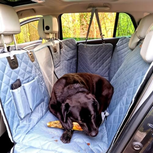 Die Bellende Katze Hundedecke Auto Autodecke Hund Rückbank und Kofferraum - Hundedecke wasserdicht und Kratzfest - Universal hundesitz Auto - Autoschöndecke Hund Rücksitz - Grau