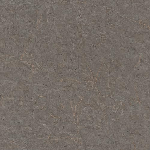 Rasch SCHÖNER WOHNEN-Kollektion Vliestapete MARBLE 600971 mit Marmoroptik in Anthrazit -10,05 m x 0,53 m
