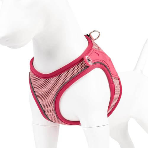 Max & Molly Hundegeschirr Matrix 2.0 Rose/XXS als Air Vest Geschirr, Step-In Geschirr mit Gotcha! Smart ID, Außenseite aus leichtem Air Mesh Material - Komfort für deinen treuen Begleiter