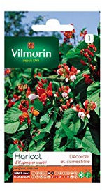 Vilmorin Jardin Haricot Espagne Varie Serie 1
