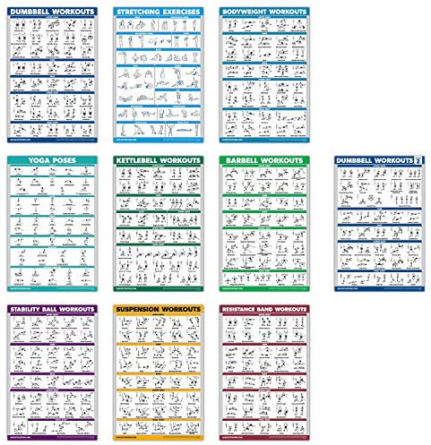 QuickFit Übungsposter-Set, Hantel-Volumen 1 & 2, Suspension, Kugelhantel, Widerstandsbänder, Stretching, Körpergewicht, Langhantel, Yoga-Posen, Gymnastikball (laminiert, 45,7 x 68,6 cm), 10 Stück