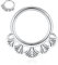 Septum Clicker Ring 316L Chirurgenstahl Daith Ohrringe 16G Conch Piercing Nasenring Hoop Silber Higned Segment Seamless Clicker Ring Rook Tragus Helix Piercing Schmuck Kleiner Hoop Ohrring 8mm