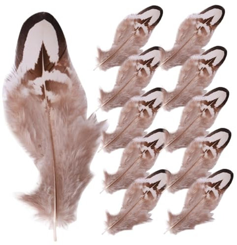COHEALI Craft Decor 50er-Pack Federn für Heimschmuck Hochzeitsdeko