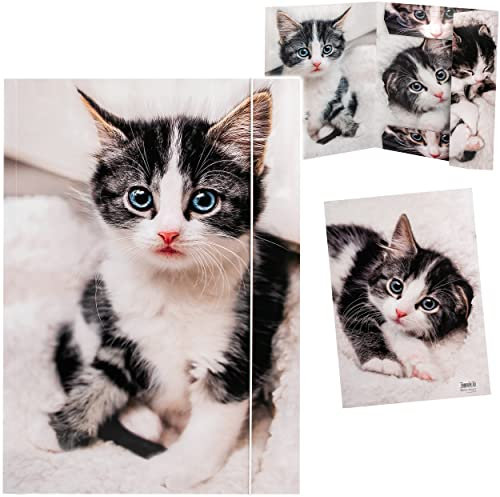 alles-meine.de GmbH XXL A3 - Zeichenmappe/Sammelmappe Motivwahl süße Katze - Ordner - 44 cm - Mappe für Hefte Zeitschriften Zeichnungen - Gummizugmappe/Kinder Erwachsen..