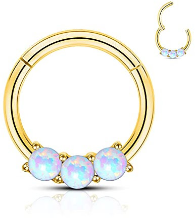 CM Crareesi Mania 16G Nasenpiercing Opal Septum Piercing Ring Daith Piercing 316L Chirurgenstahl Segmentring Clicker 8mm/10mm Helix Tragus Daith Rook Ohrringe Piercing Schmuck