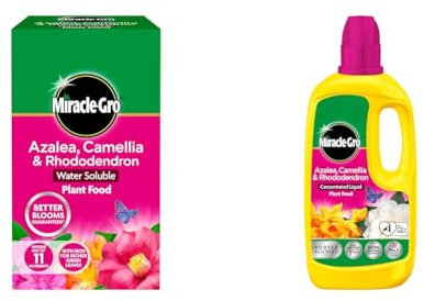 Miracle-Gro Azalea, Camellia & Rhododendron Soluble Plant Food, 1 kg & 121180 Azelia, Camellia & Rhododendron Concentrated Plant Food, 800 ml, Natural