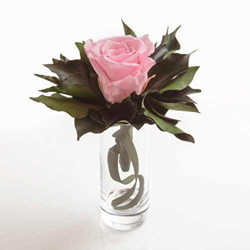 Blumenstrauß langhaltend Ewige Rose konserviert mit Glasvase haltbar 3 Jahre von ROSEMARIE SCHULZ GmbH Heidelberg (Rosa)