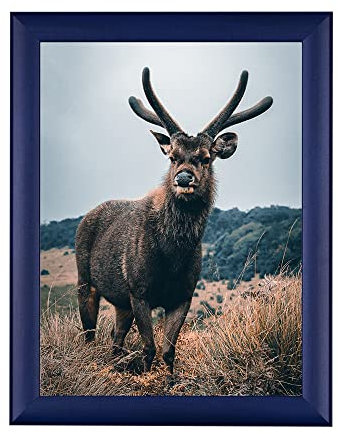 Rahmendesign24 Posterrahmen Fiona 60x90 Dunkelblau Fotorahmen, Wechselrahmen, Bilderrahmen