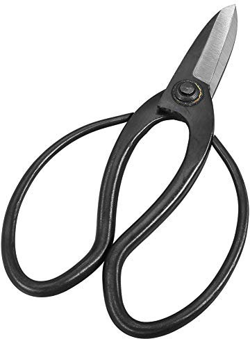 Strumento Forbici Lo Cesoie per Fiori Floreali Cesoie da Giardinaggio Ikebana per Ramoscelli Forbici per Fiori