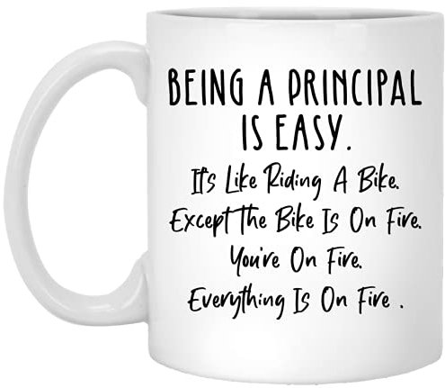 HSIRYAOHD Being Principal is Easy Like Riding Bike Funny Principal Gifts Ideas for Sarcastic Inspirational Birthday Gifts for Friends Teacher Coworkers Siblings Dad Mom 11oz