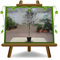 Oliviers Frantoio EURO PLANTS VIVAI - Olives pour Huile - Hauteur:200-240 CM Âge: 10 Ans Vase Seau : 35 CM