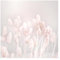 Bilderwelten Fototapete Gräser 192cm x 192cm Blumen Modern Natur Blumentapete Vliestapete Tapete Wanddeko Ideen Wohnzimmer Schlafzimmer Küche