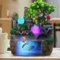 Konfiur Zimmerbrunnen Wasserfall, Tischbrunnen mit Led Beleuchtung Kristallkugel und Zerstäuber, Wasser Zerstäuber, Zimmerbrunnen mit Pflanzen, Ür die Platzierung In Wohnzimmer Büro 30 * 20 * 30 cm