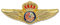 Pin Policía Nacional España Coleccionismo FFCCSS (Piloto de Helicópteros)