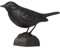 WILDLIFEGARDEN Wildlife Garden WG712 Gusseisen Amsel - Skulptur mit Vogelmotiv für Garten und Innenbereich