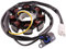 VANEZ Lichtmaschine/Stator Zündung kompatibel für Kymco 4-Takt, Filly, Agility, Sento 50, People