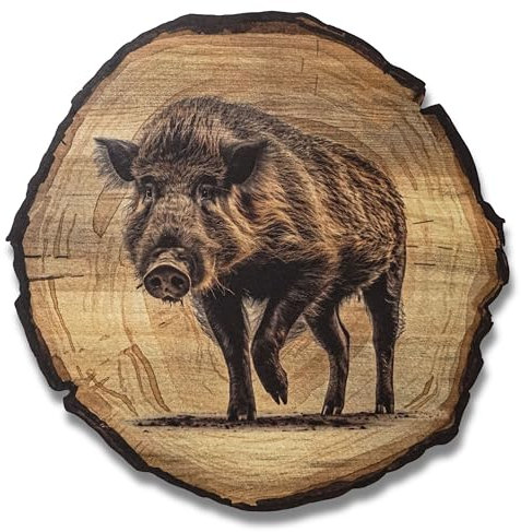 DARO Design - Wandbild Wildschwein Größe 30cm - Kunstdruck aufhängefertig - Wanddekoration Thema Jagd, Natur, Tiere
