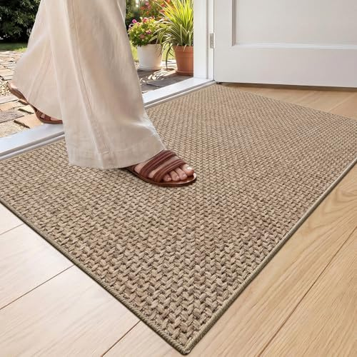 COLOR&GEOMETRY Thin Front Door Mat Indoor Entrance Non Slip Rubber Backed, 44x76cm Indoor Door Mats for Entryway, Dirt Trapper Double Doormat, Washable Front Door Rugs, Dark Beige