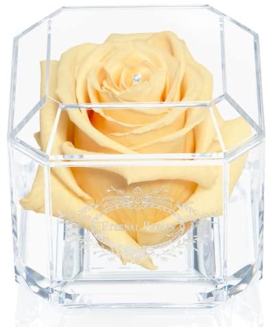 Eternal Petals A 100% Real Rose That Lasts Years, Handmade in UK – White Gold Solo with A Clear Crystal (Champagne)