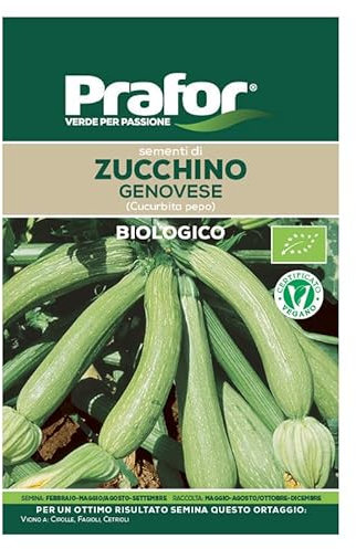 Hortus Semi prafor zucchino genovese bio