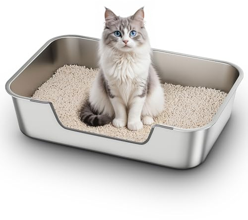Katzenklo Edelstahl mit Niedrigem Rand, Katzentoilette Metall für Altere Oder Verletzte Katzen, Groß Ohne Deckel katzenklo Offene XXL, Antihaftbeschichtet, Geruchsfrei, Leicht zu Reinigen, 60x40x15cm