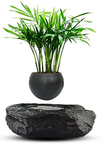 Lévitation magnétique Air Bonsaï Fleur Pot de fleurs Pot de fleurs Lévitation magnétique Fleur Bonsaï Pot Plante Maison Bureau Décoration